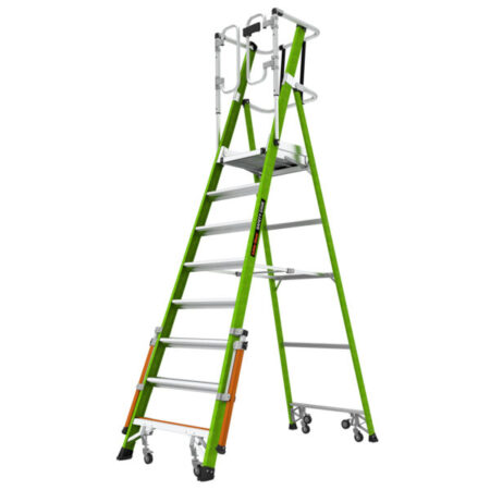 Little Giant Safety Cage - 6 treden